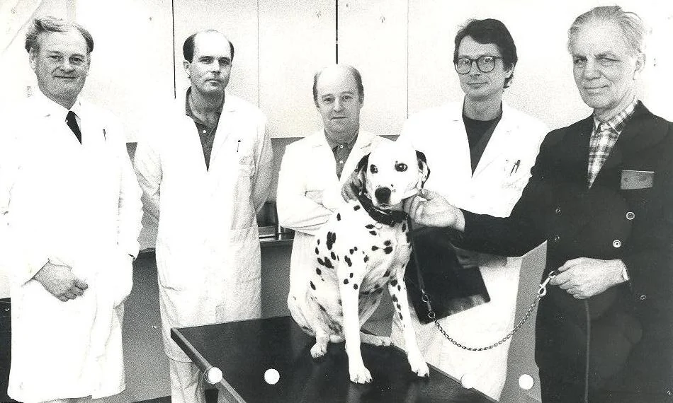 allands Djursjukhus AB startades av de fyra veterinärerna Staffan Rudberg, Peter Markstedt, Lars Gustafsson och Lars Thorén.