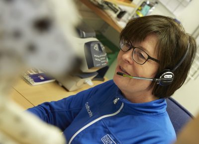 veterinär i slöinge falkenbergs kommun