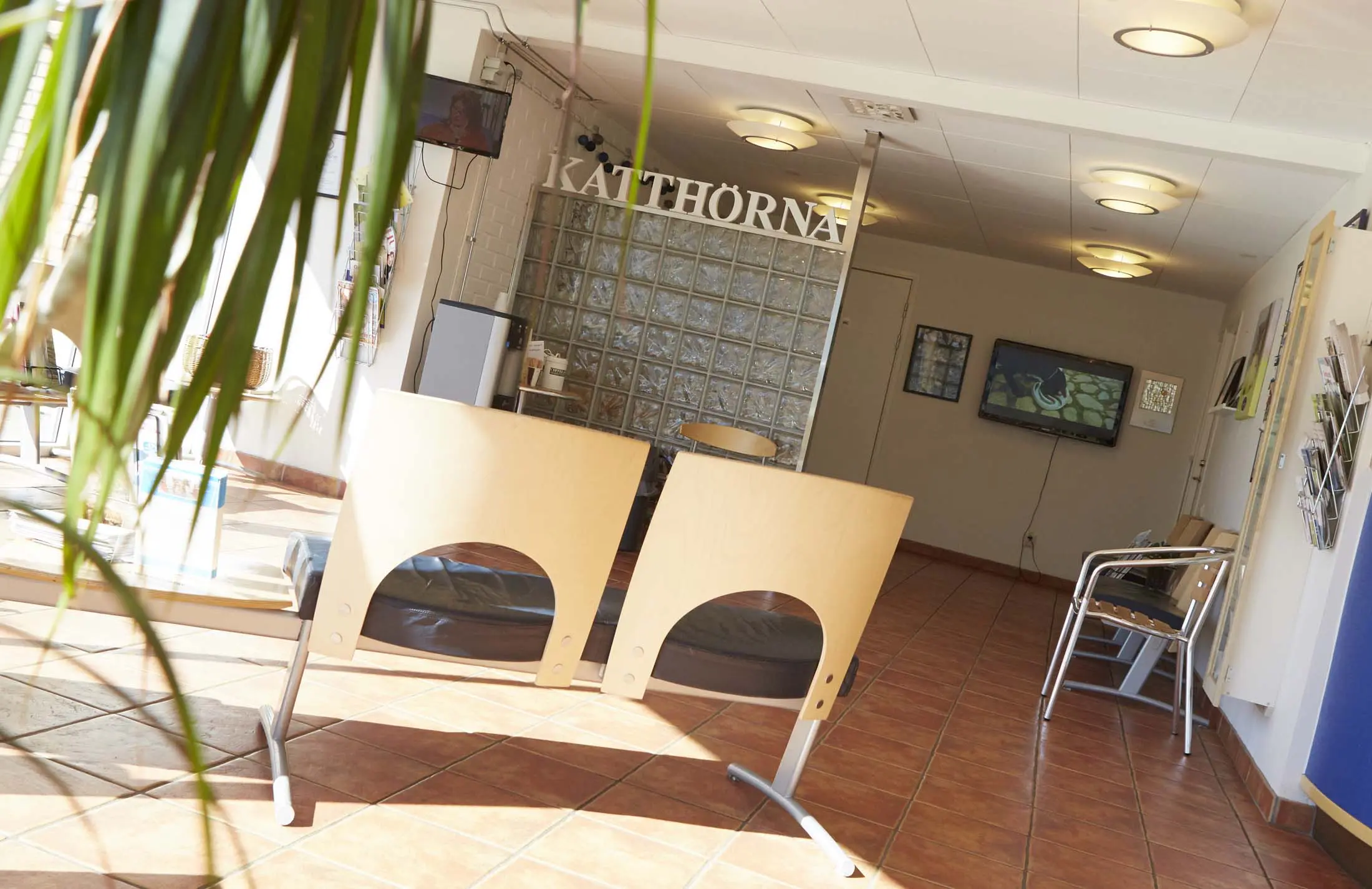 Smådjursavdelningen på Hallands djursjukhus.